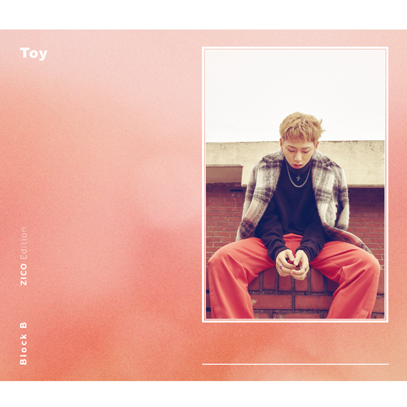 Toy